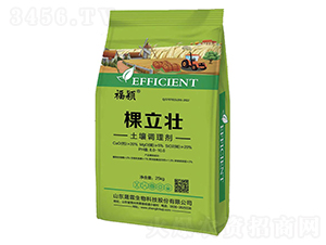 �����������{(di��o)�턩-��������