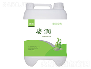 �˝����徫�A��-�������� 