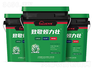 �����-�¾�