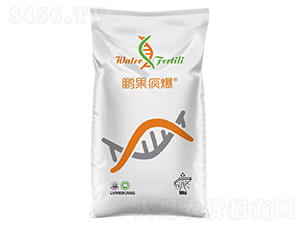 �i������-ؐ����