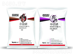 5%�������w����-�ؑ�(zh��n)�l(w��i)/�@���F-�s���r��