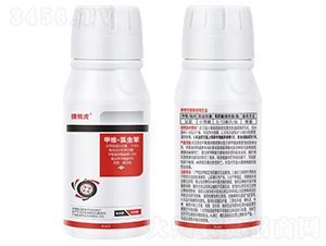 11.6%�׾S�����x���Ҹ���-���J��-�Z������