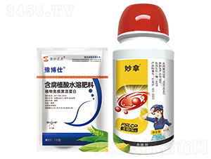 ����+ԥ����-�S�՘�