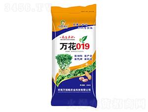 �f(w��n)��019-�����N��-�f(w��n)��(d��n)�Z