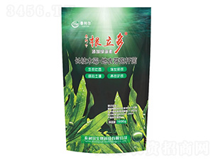 ������-̩����