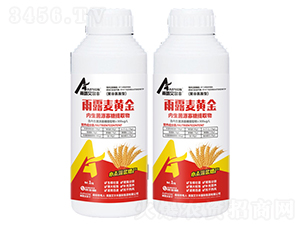 ��¶���S��-��¶�����S