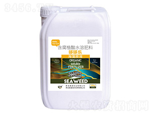 ����ֲ��ˮ�ܷ���-�߶ߘ�-껳Ɍ��I(y��)