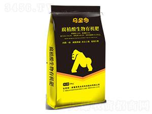 ����ֲ�������ЙC(j��)��-��ɫ���B(t��i)