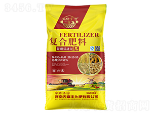 �\���p������(f��)�Ϸ���28-13-10-��ϲ�S