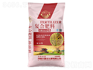 �\���p������(f��)�Ϸ���20-10-10-��ϲ�S