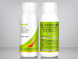 24-���|̦�؃���-����S-��ϲ