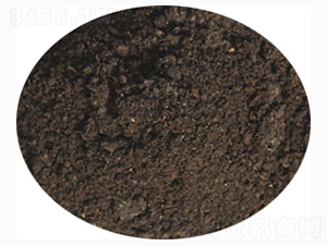 �����ЙC(j��)��-ӭ������