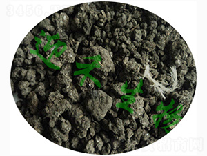 ���u�S1̖(h��o)-ӭ������