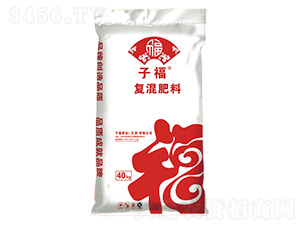 ��(f��)�����-�Ӹ��ʘI(y��)