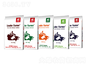 ��ጓ������-���ðl(f��)-�����_