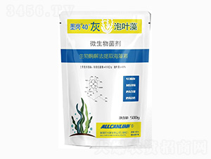 ΢�������-ī��40�����~��-��˹�r(n��ng)