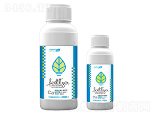 �Ǵ��}-�����S