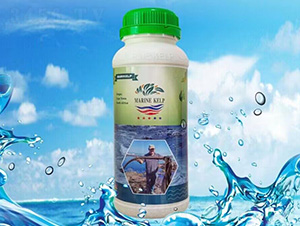 �ϷǺ����sҺ-������I(y��)