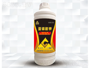 ������⛣�1400g��-���ͬ�