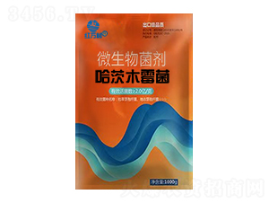 ����ľù��΢�������-�t�f��-�l(xi��ng)�弾�L(f��ng)