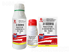 0.01%28-���|̦�؃���-�t�f��-�l(xi��ng)�弾�L-���˹����r(n��ng)��