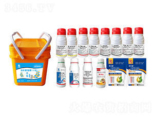 ���ױ����ײͣ��˺�һ��-�l(xi��ng)�弾�L