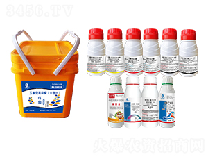 ���ױ����ײͣ�����һ��-�l(xi��ng)�弾�L