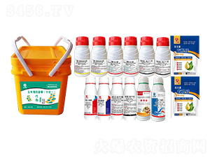 ���ױ���M�����b��ʮ��һ��-�l(xi��ng)�弾�L