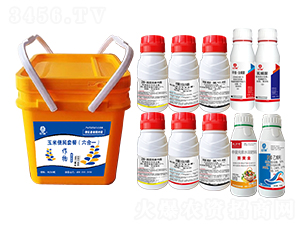 ���ױ���M�����b������һ��-�l(xi��ng)�弾�L