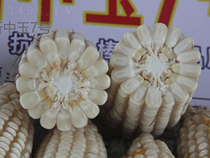 ������7̖-���׷N��-���r(n��ng)�Ƽ�