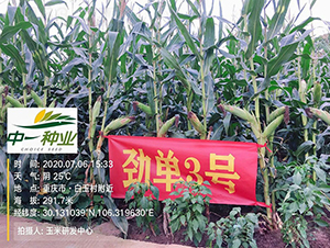 �ņ�3̖-���׷N��-���r(n��ng)�Ƽ�