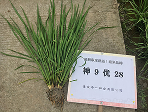 ��9��(y��u)28�����浾��-ˮ���N��-���r(n��ng)�Ƽ�