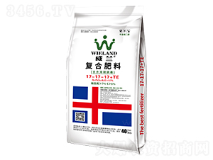 ��(f��)�Ϸ���17-17-17+TE-���m-�����D