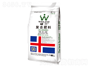 �ͺϷ���16-6-26-���m-�����D