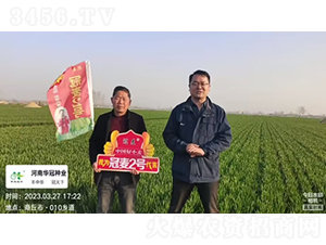 ����2̖(h��o)-С���N��-�d�A�N�I(y��)