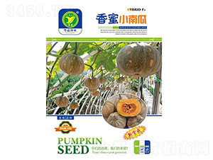 ����С�Ϲ�-�ϹϷN��-����r(n��ng)�Y