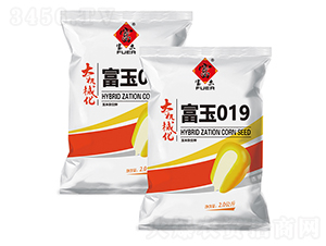 ����019-���׷N��-�����r(n��ng)ˇ