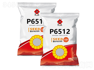 P6512-���׷N��-�����r(n��ng)ˇ