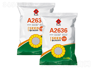 A2636-���׷N��-�����r(n��ng)ˇ