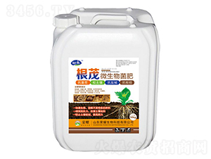 ��ï΢�������-����-�sҫ�r(n��ng)�I(y��)