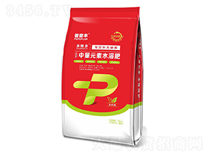 ��S������Ԫ��ˮ�ܷ���-�����S-����P��