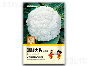 ���_���^�ɻ��˷N��-�����r(n��ng)�I(y��)