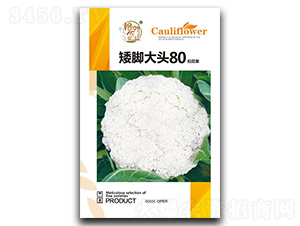 ���_���^80�ɻ��˷N��-�����r(n��ng)�I(y��)