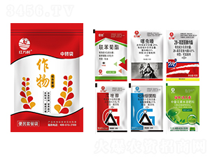 ���b�������M�����b������һ��-�l(xi��ng)�弾�L(f��ng)