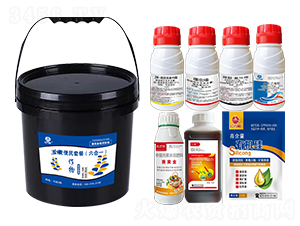 ���׌�(zhu��n)�ñ����ײͣ�����һ��-�l(xi��ng)�弾�L(f��ng)