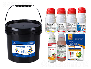 ���׌�(zhu��n)�ñ���M�����b������һ��-�l(xi��ng)�弾�L(f��ng)