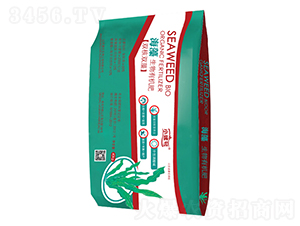 ���������ЙC(j��)��-���r(n��ng)����