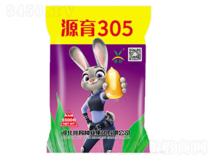 Դ��305-���׷N��-�����N�I(y��)