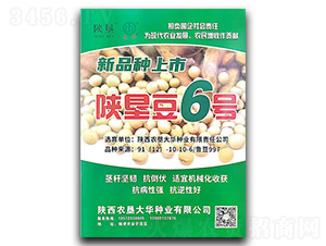 ꃉ���6̖-�󶹷N��-ꃉ����A