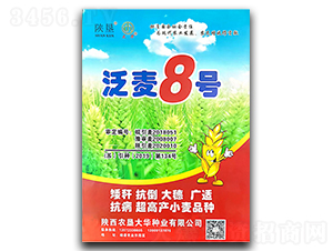 ����8̖-С���N��-ꃉ����A